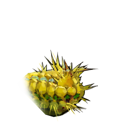 文件:T MaChong 1 HeadImage2.png