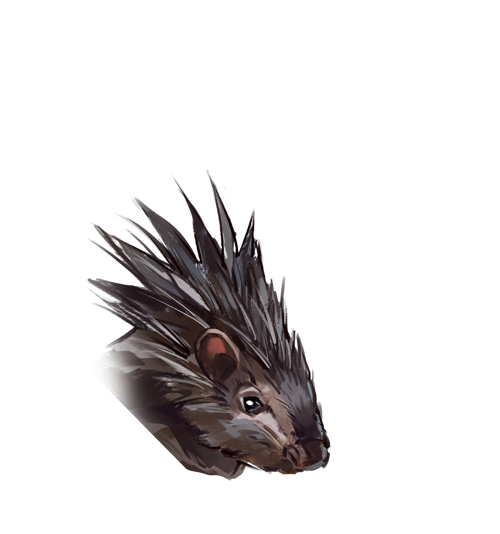 文件:T HaoZhu HeadImage2.png