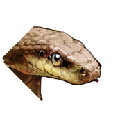 文件:T DuShe 3 HeadImage3.png