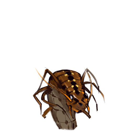 文件:T WuGong 1 HeadImage2.png