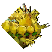 文件:T MaChong 1 HeadImage3.png