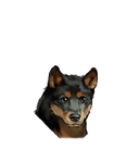 TuGou_3头像