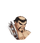 NPC头像