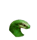 DuShe头像