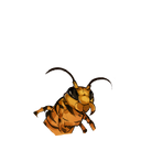 MaFeng头像