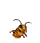 NPC头像