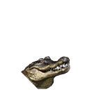 Eyu头像