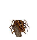 WuGong_1头像