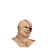 盘山蟒头像