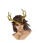 NPC头像
