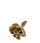 NPC头像