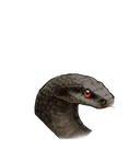 Chuan头像