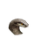 NPC头像