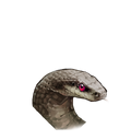 锦鳞灰蛇(45745)对话