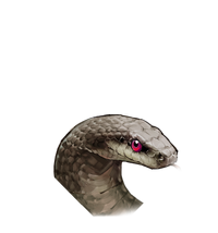 锦鳞灰蛇(45745)头像