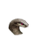 NPC头像