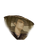 NPC头像